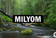 Milyom